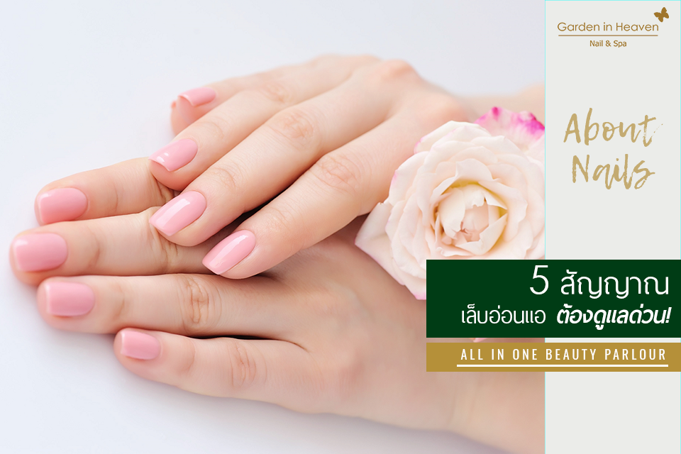Garden in heaven nail&spa บริการเสริมสวยครบวงจร เพ้นเล็บ พัฒนาการ 44 Garden in heaven nail&spa บริการเสริมสวยครบวงจร เพ้นเล็บ พัฒนาการ 44